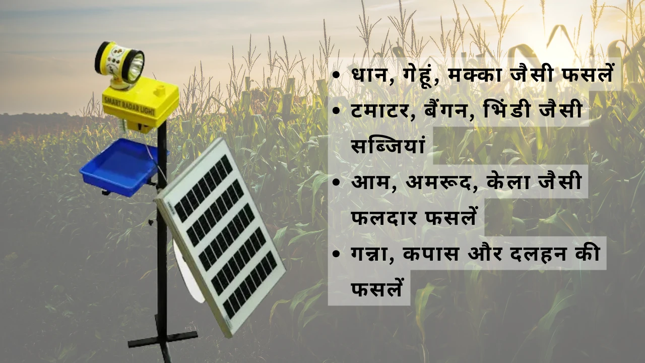 Solar Light Trap