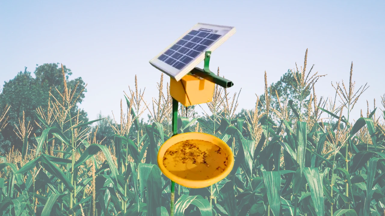 Solar Light Trap