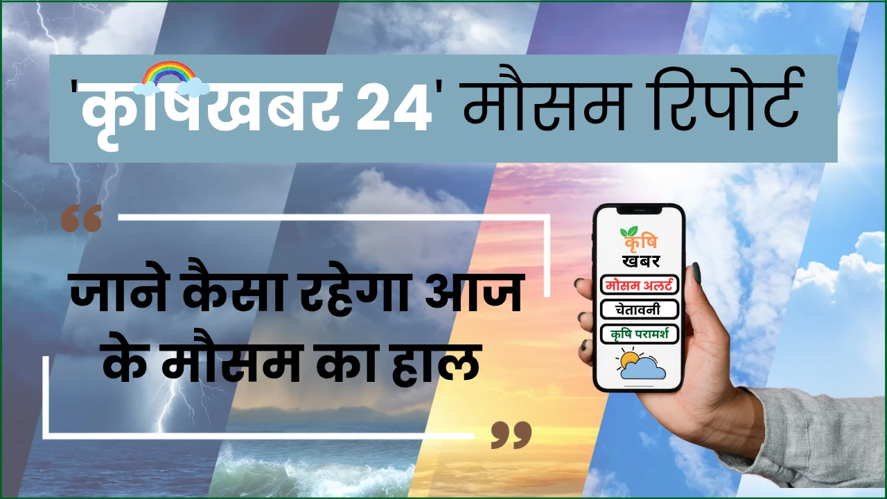 Daily Weather Report Madhya Pradesh