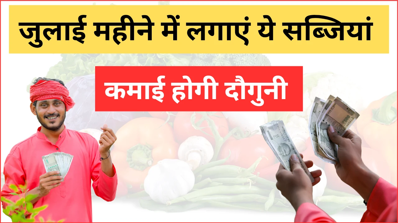 जुलाई महीने मे लगाएं ये 7 सब्जियां, कमाई होगी दोगुनी!