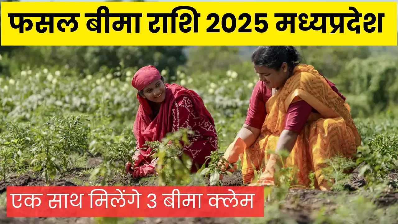 फसल-बीमा-राशि-2025-मध्यप्रदेश