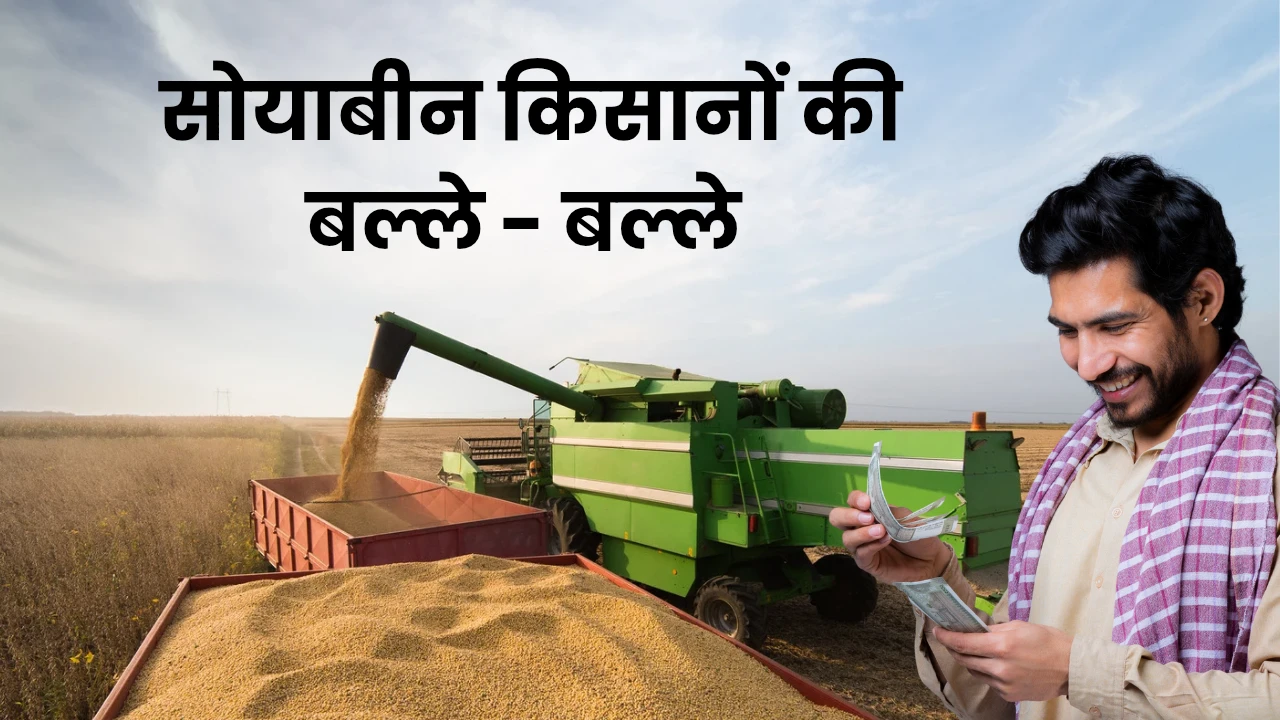 सोयाबीन